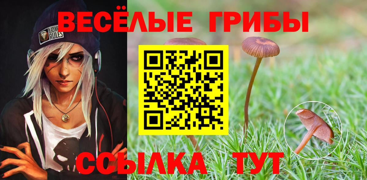 Псилоцибиновые грибы ЛСД Ногинск