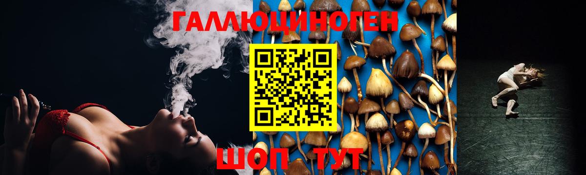 Ногинск  как найти   Вход с VPN  Галлюциногенные грибы Psilocybine cubensis  Галлюциногенные грибы мухоморы 